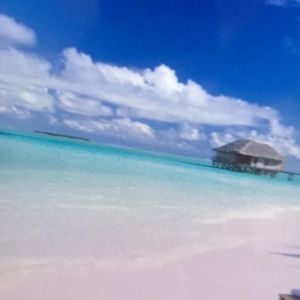 Meet your Posher, Denisse